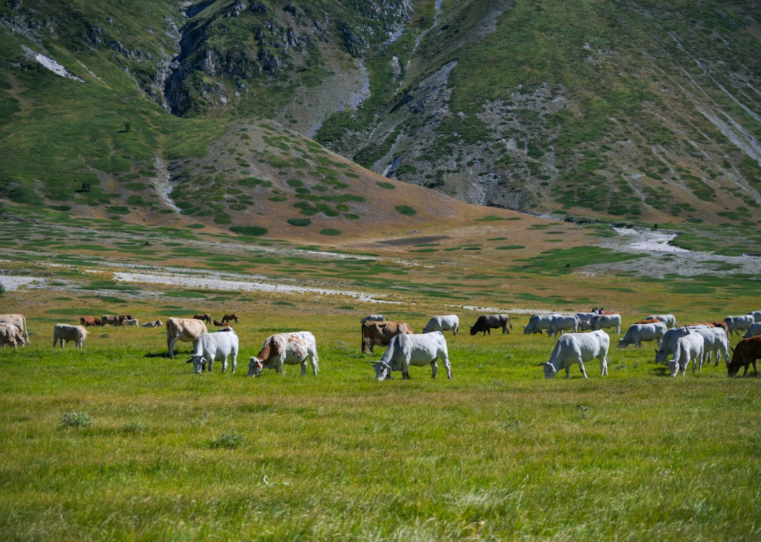 Dom z kamienia, blog Kasi Nowackiej, Abruzzo, il Cammino del Gran Sasso