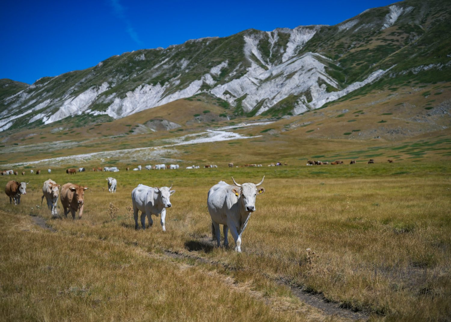 Dom z kamienia, blog Kasi Nowackiej, Abruzzo, il Cammino del Gran Sasso