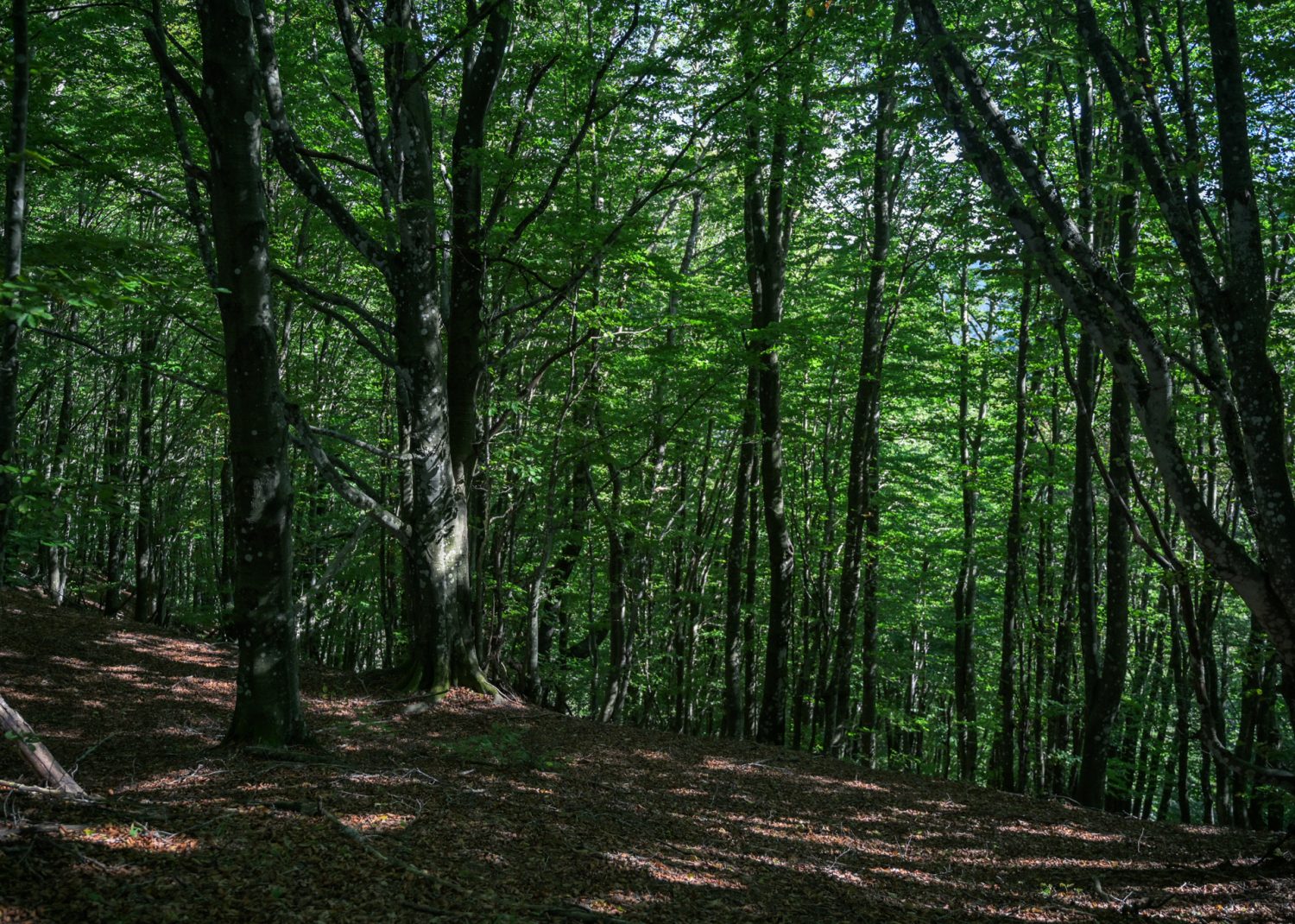 Crespino del Lamone, Toskania z plecakiem, Dom z Kamienia blog Kasi Nowackiej