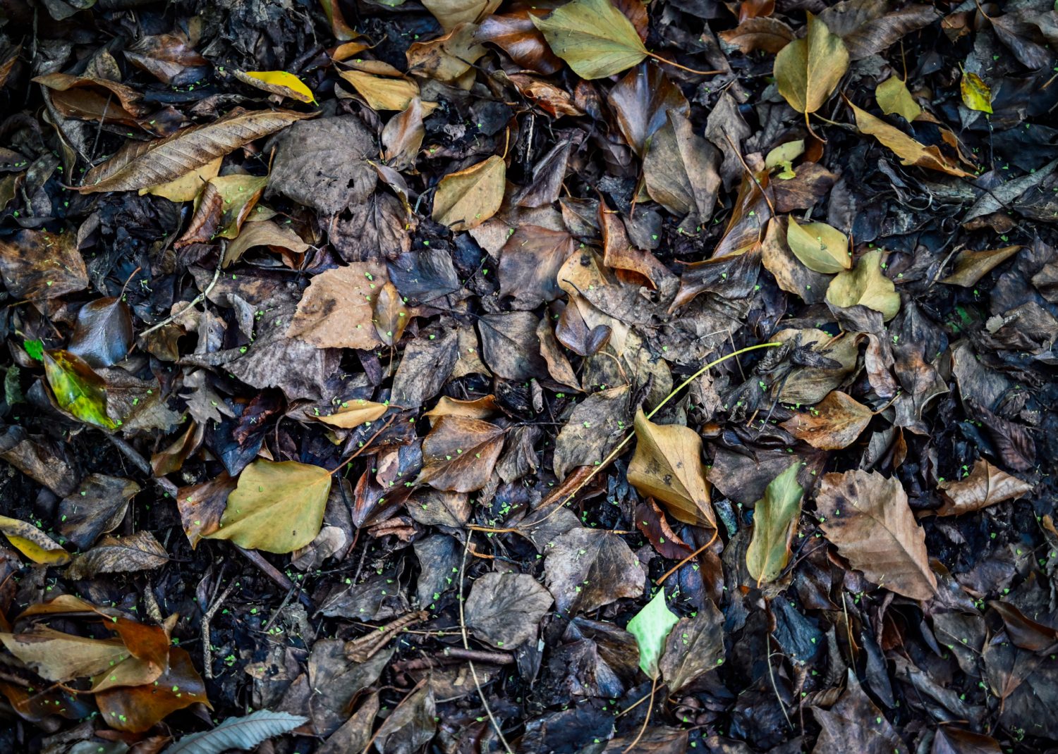Appennino Tosco Romagnolo Dom z Kamienia, blog Kasi Nowackiej
