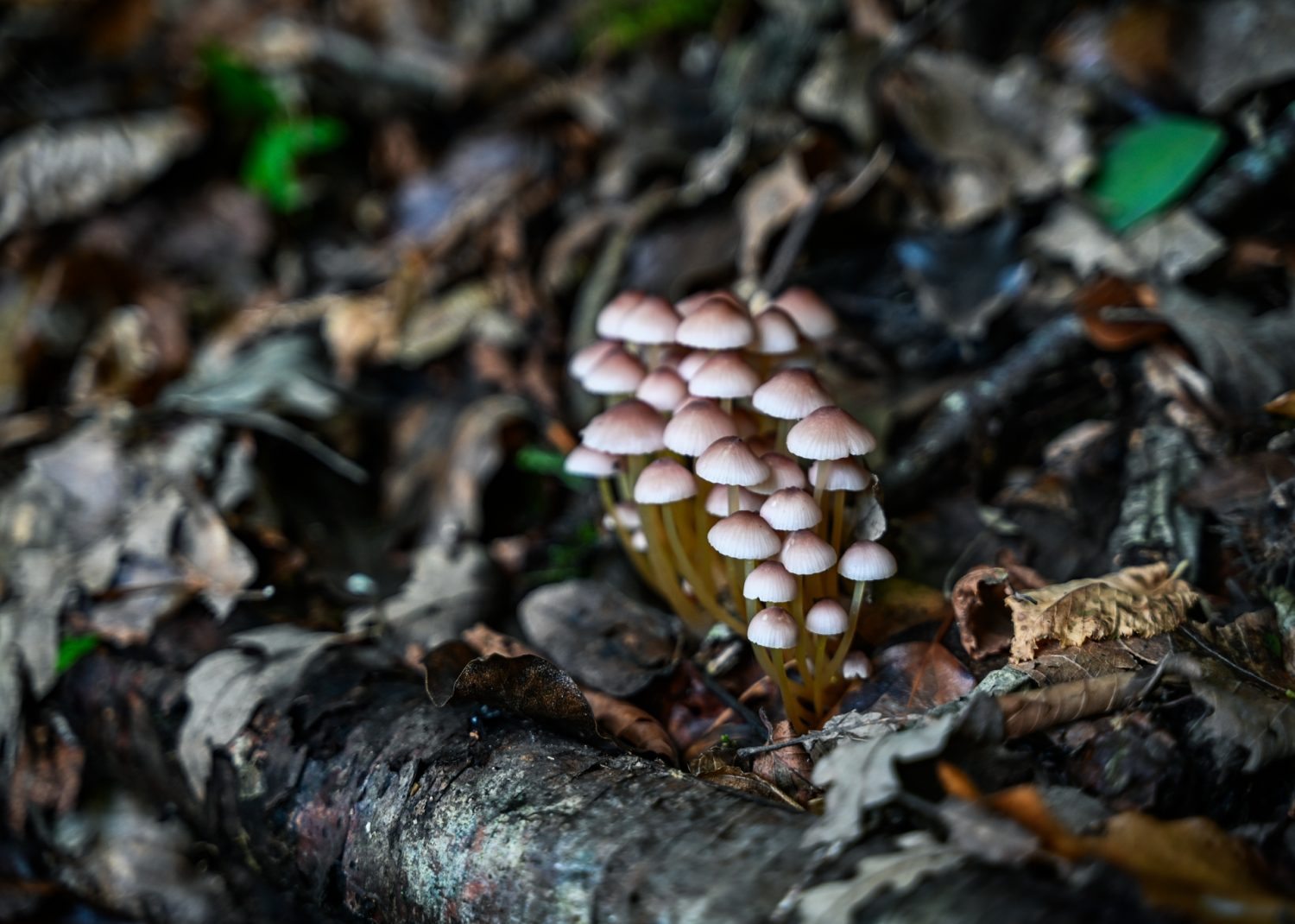 Appennino Tosco Romagnolo Dom z Kamienia, blog Kasi Nowackiej
