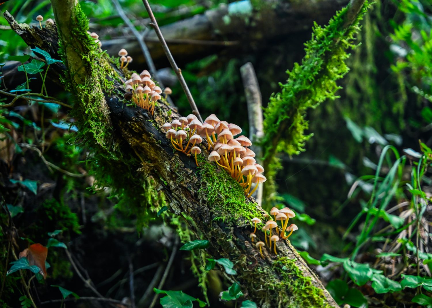 Appennino Tosco Romagnolo Dom z Kamienia, blog Kasi Nowackiej