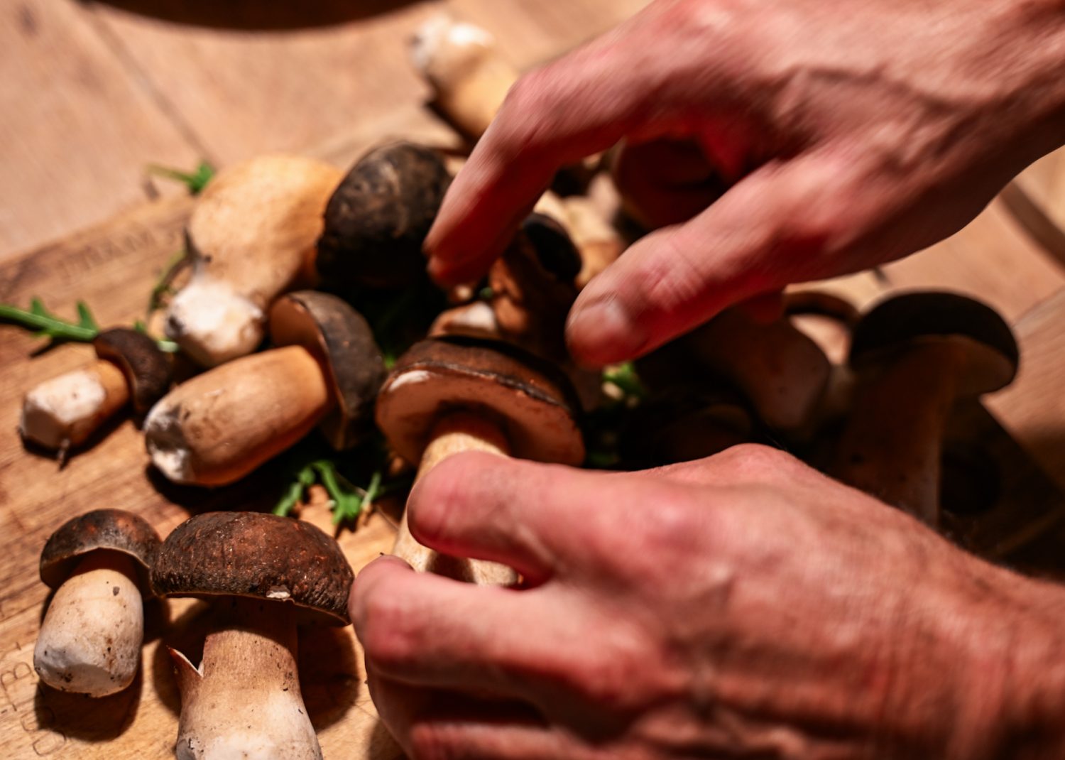 Porcini w Toskanii, szukanie grzybów. Dom z Kamienia blog.