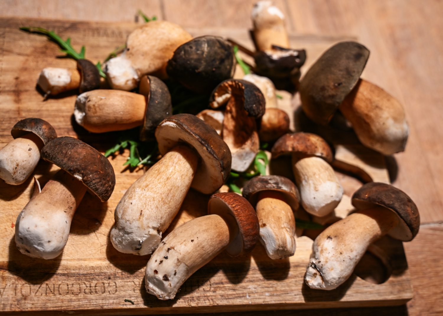 Porcini w Toskanii, szukanie grzybów. Dom z Kamienia blog.