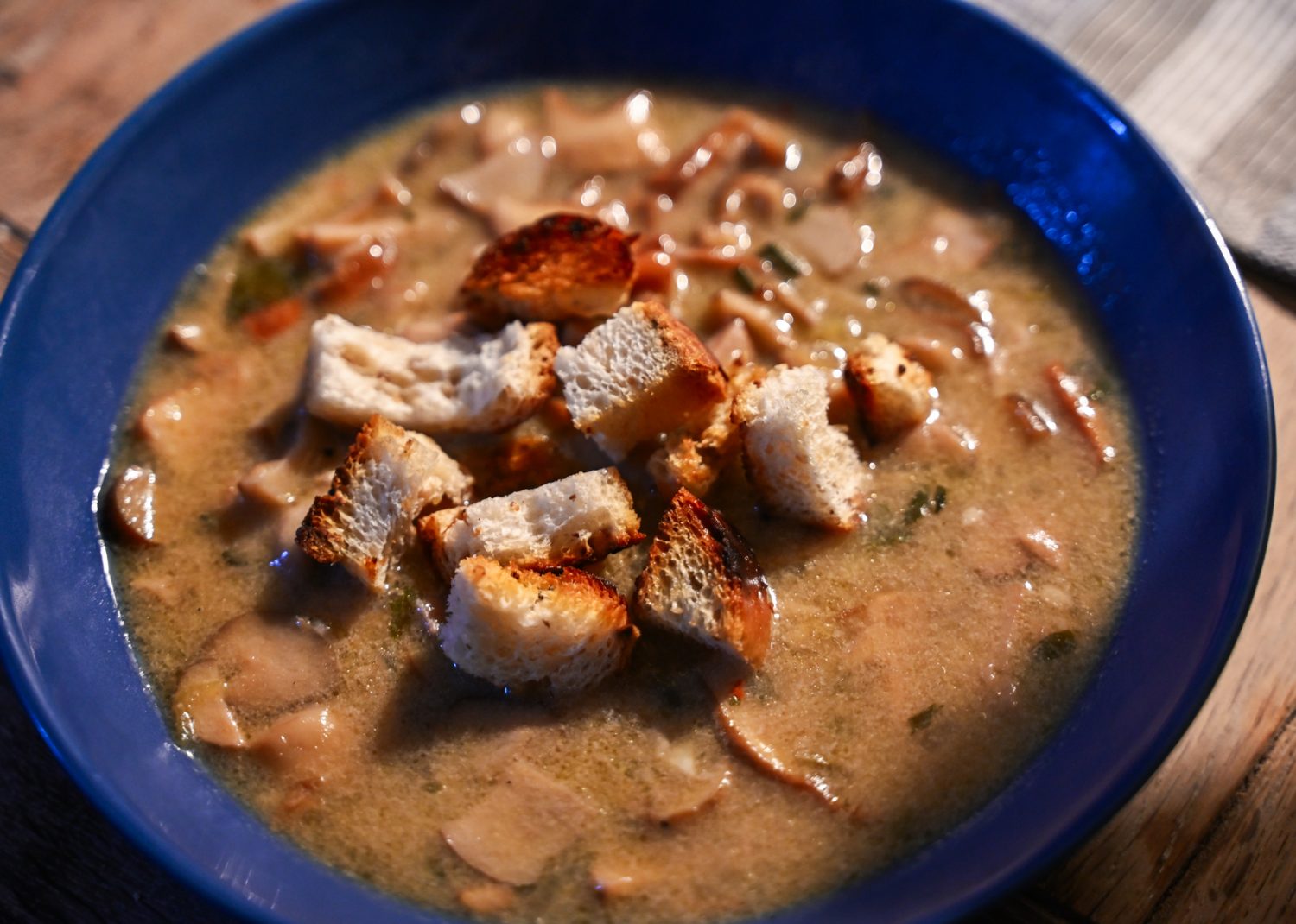 Porcini w Toskanii, szukanie grzybów. Dom z Kamienia blog.